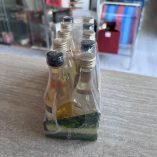 Set 10 Mignon Alcolici Svedesi