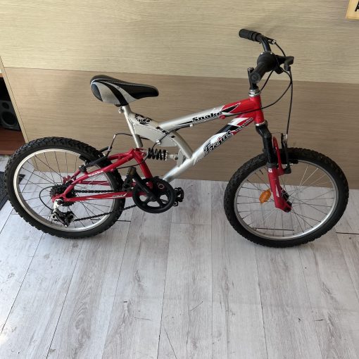 Bicicletta Ragazzo Frejus 20''