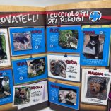 Album Figurine Amici Cucciolotti 2014 Pizzardi Completo