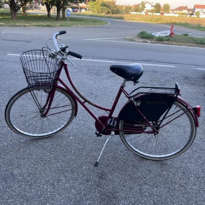 Bicicletta Olandese Bicicletta Olandese