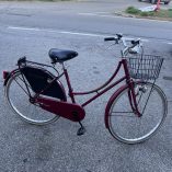 Bicicletta Olandese