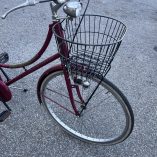 Bicicletta Olandese