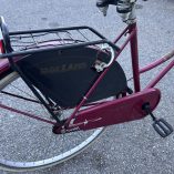 Bicicletta Olandese