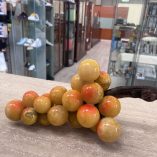Grappolo Uva Alabastro