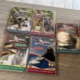 Collezione Completa DVD I Record Degli Animali