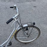 Bicicletta Samar