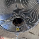 Stufa Oscillante DCG