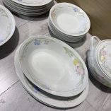 Servizio Piatti Porcellana French Garden Japan 53 Pezzi