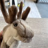Peluche Renna Allan Flink